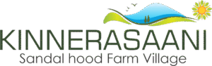 Kinnerasaani_logo